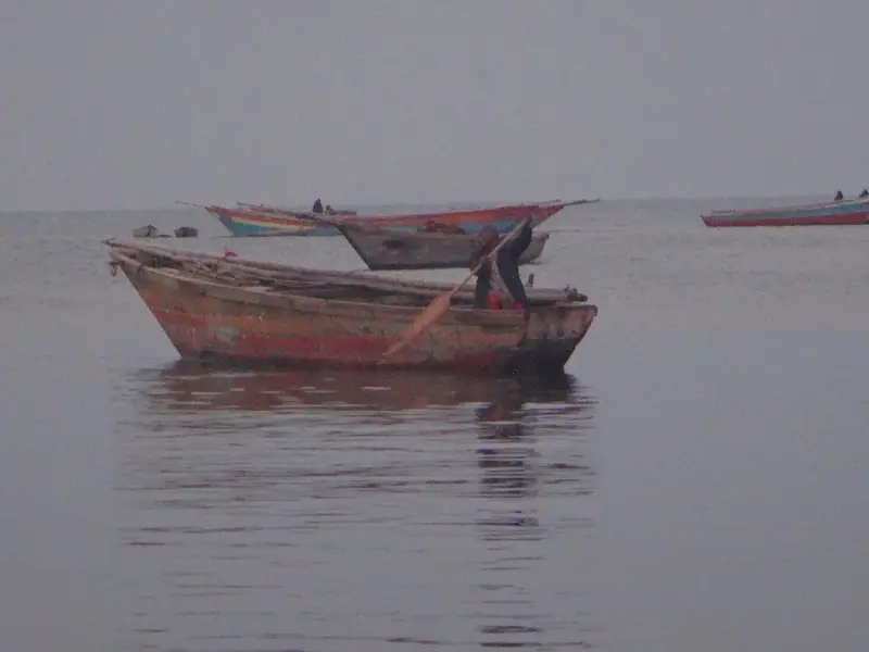 DSC07287.JPG