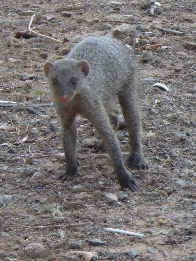 DSC07923.JPG