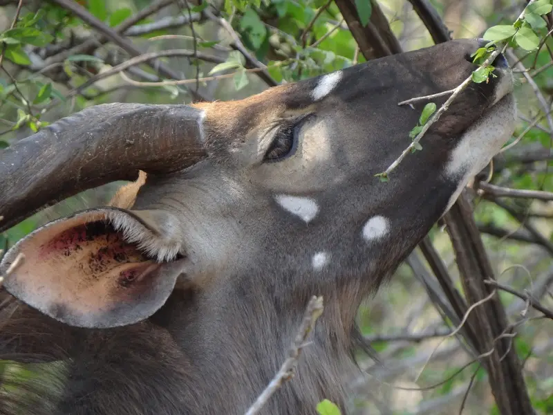 DSC07939-2.JPG