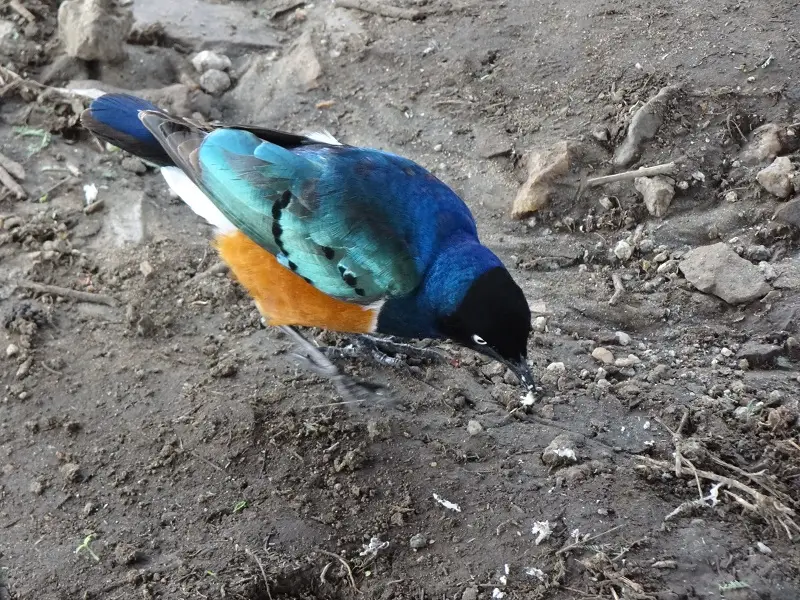 DSC08360.JPG