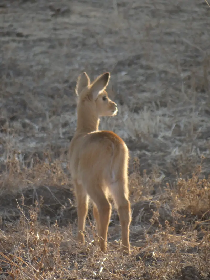 DSC08457-2.JPG