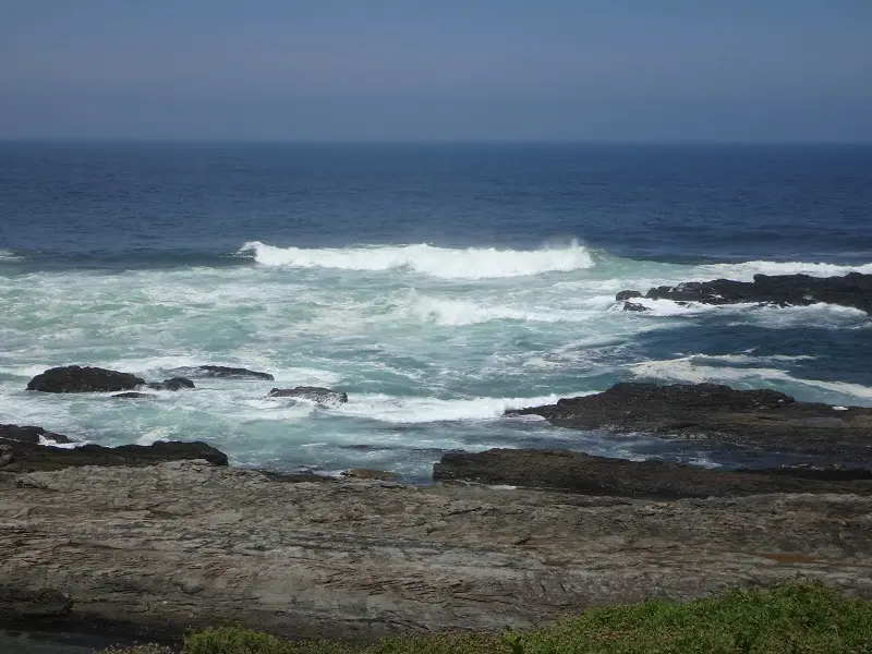 DSC08952.JPG