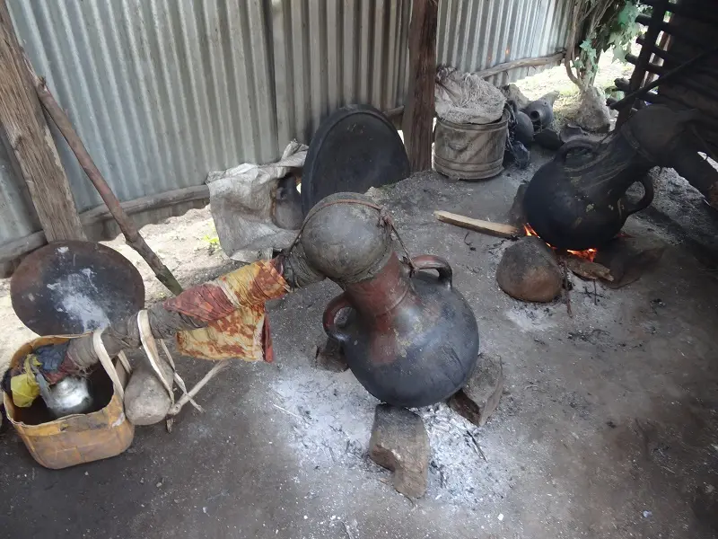 DSC09038-2.JPG