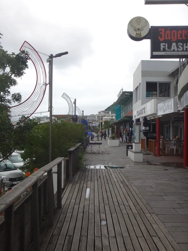 DSC09044.JPG