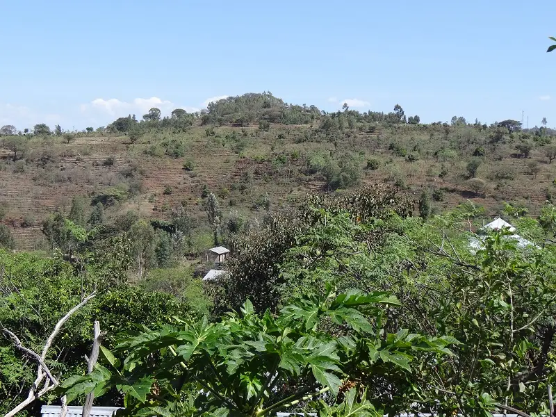 DSC09063-2.JPG