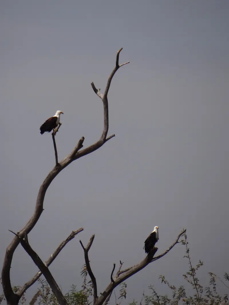 DSC09215-2.JPG