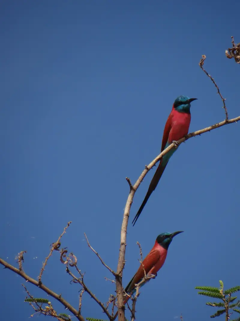 DSC09228-2.JPG