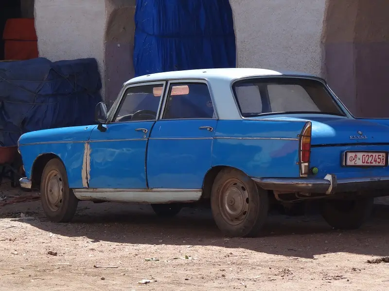 DSC09321-2.JPG