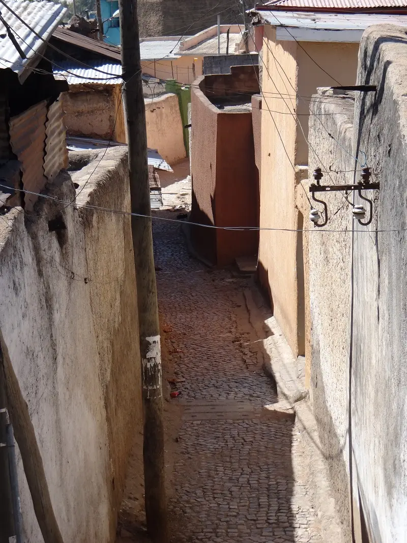DSC09325-2.JPG