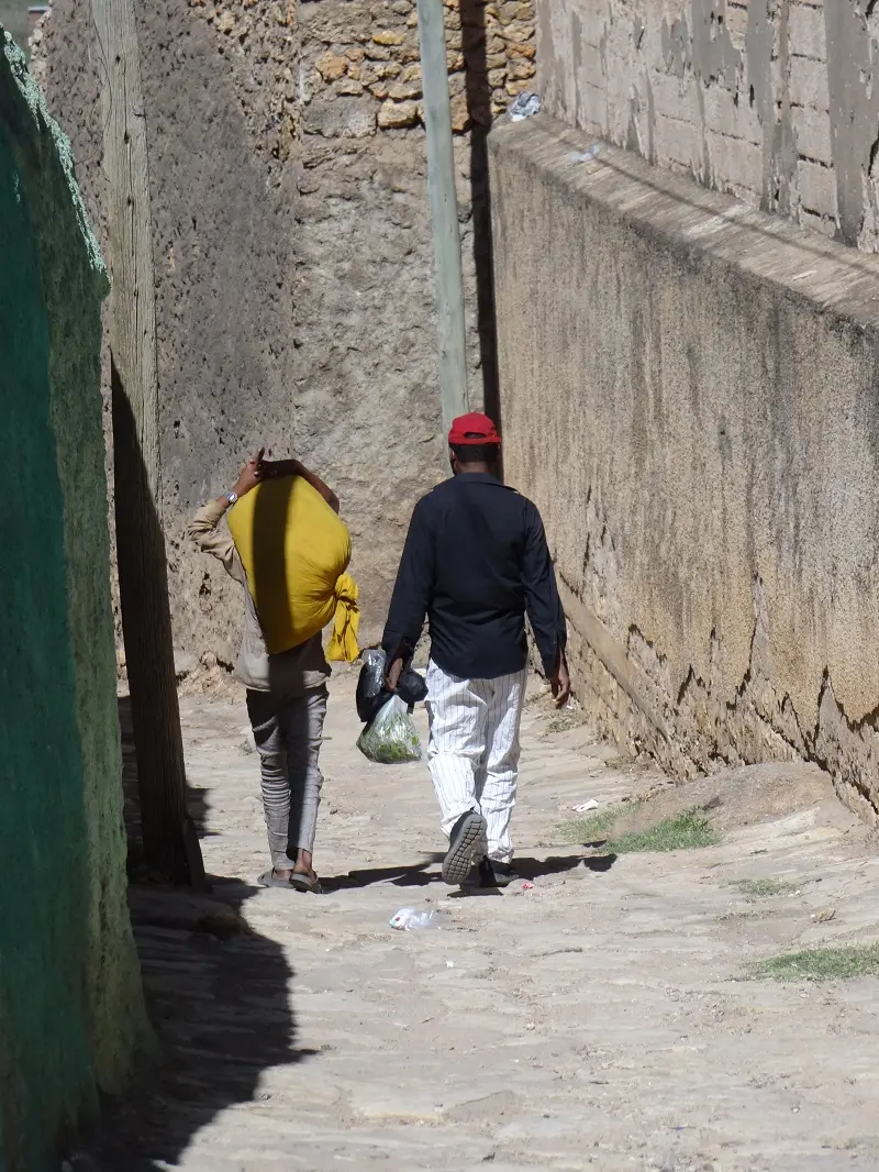 DSC09375-2.JPG