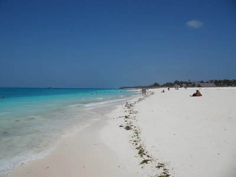 DSC09645.JPG