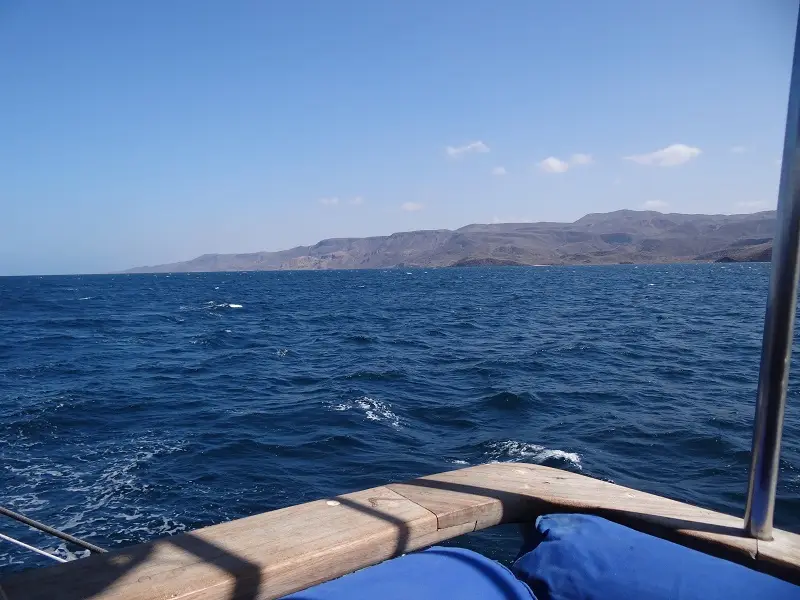 DSC09672-2.JPG