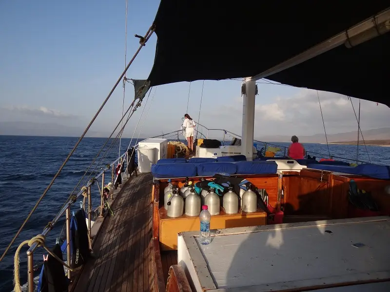 DSC09708-2.JPG