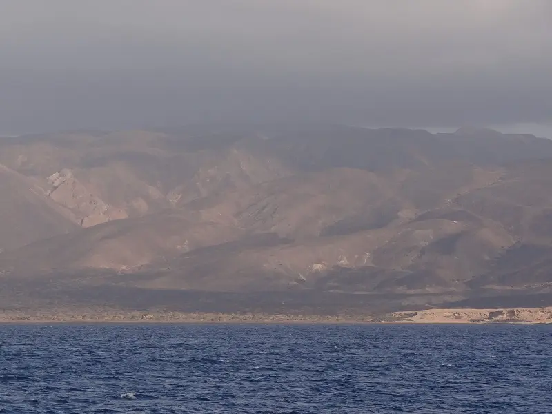 DSC09709-2.JPG