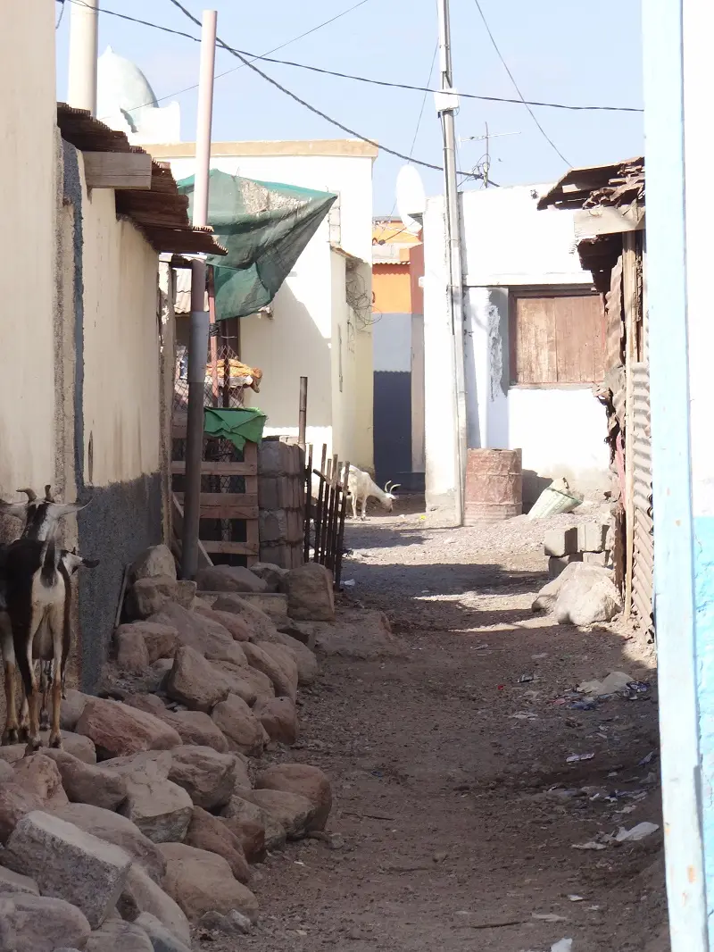 DSC09768.JPG