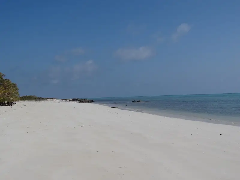 DSC09899.JPG