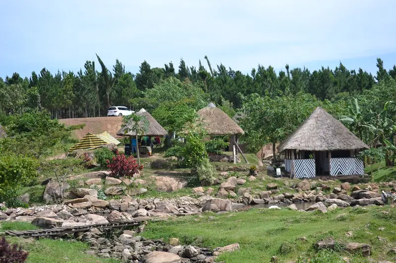 DSC_0029.JPG