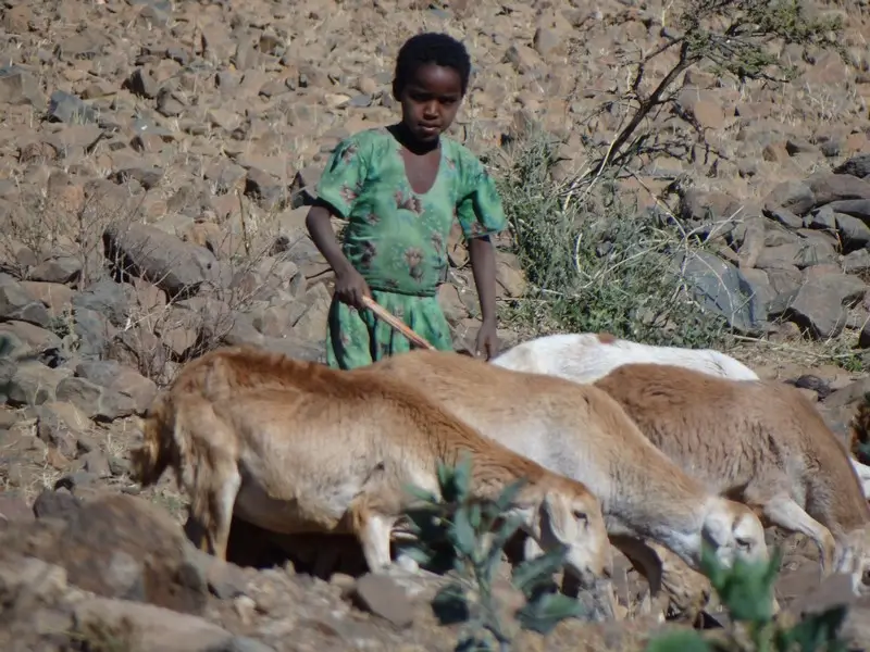 Ethiopie2017587.JPG