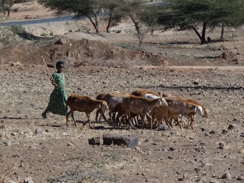 Ethiopie2017588.JPG