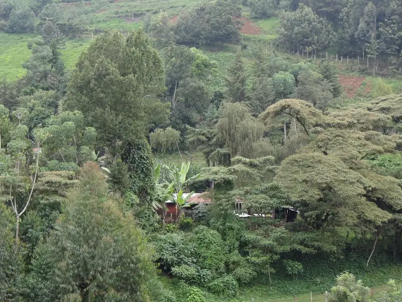 Knya2012045.jpg