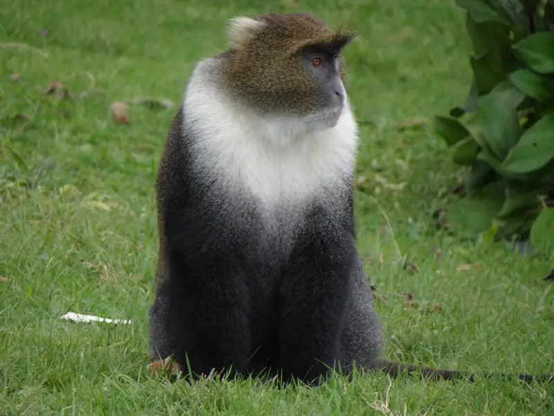 Knya2012055.jpg