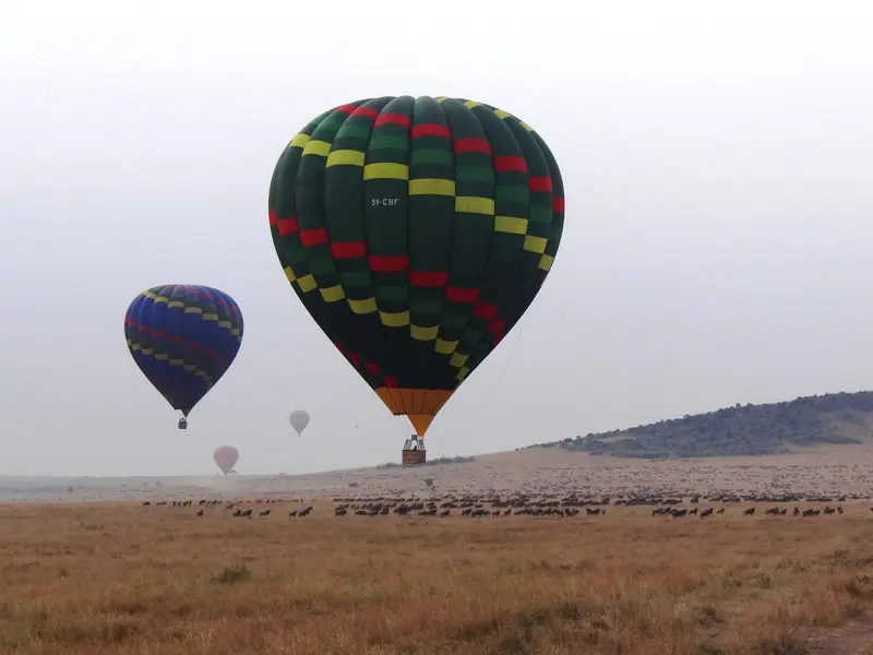 Knya2012123.jpg