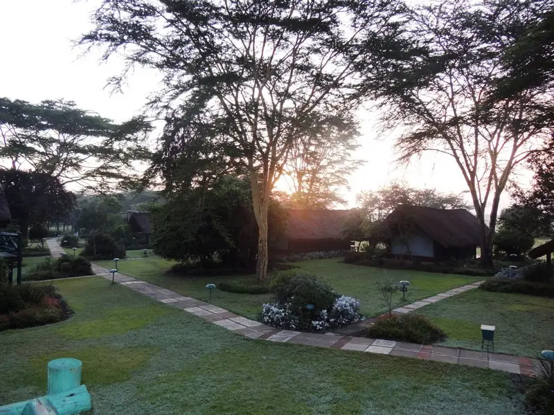 Knya2012127.jpg