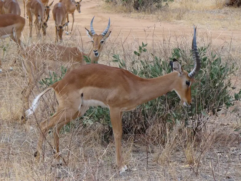 Knya2012135.jpg