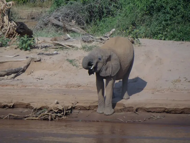 Knya2012227.jpg