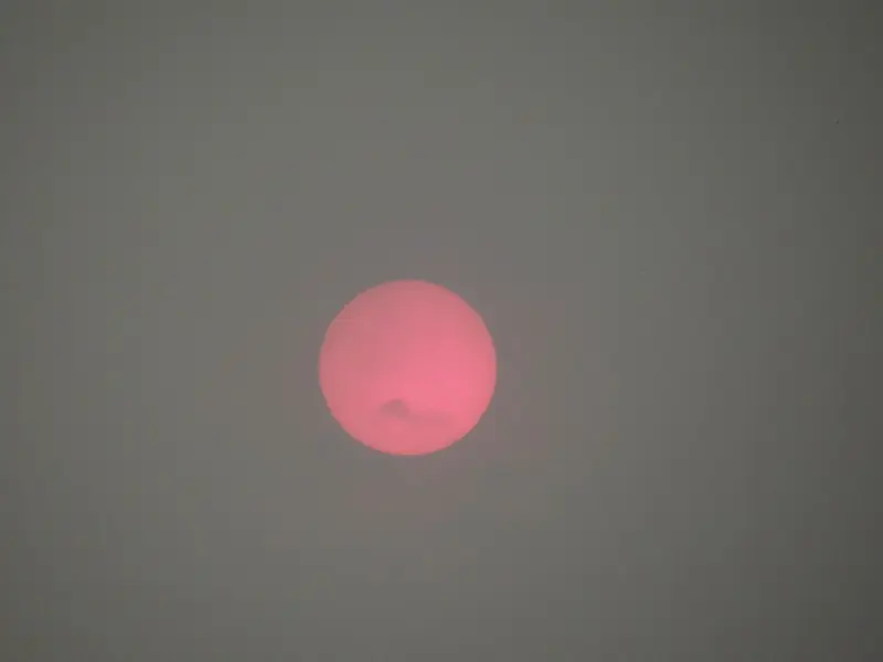 Knya2012484.jpg