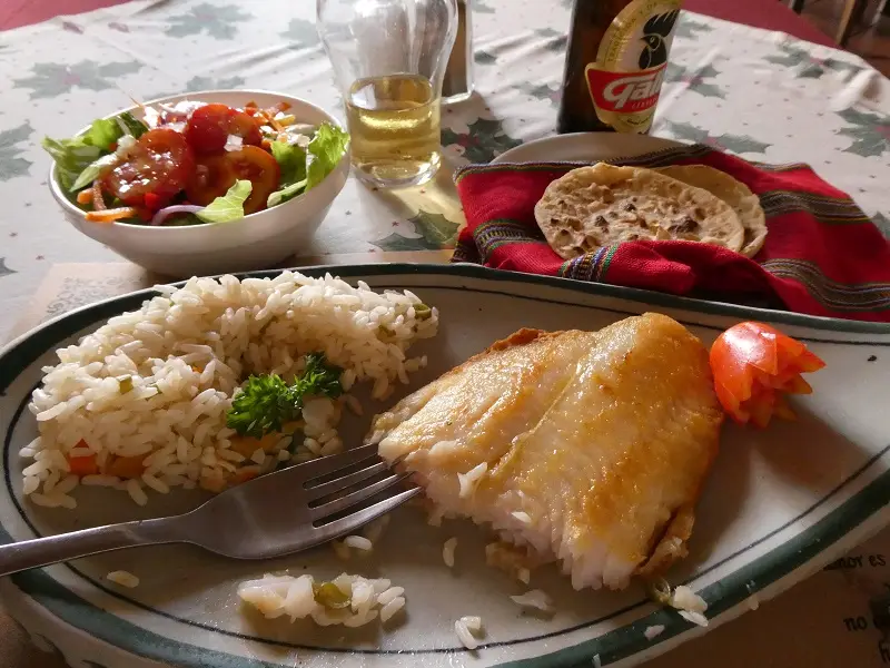 P1000261.JPG