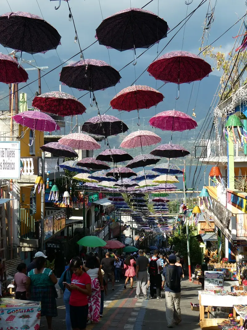 P1000325.JPG