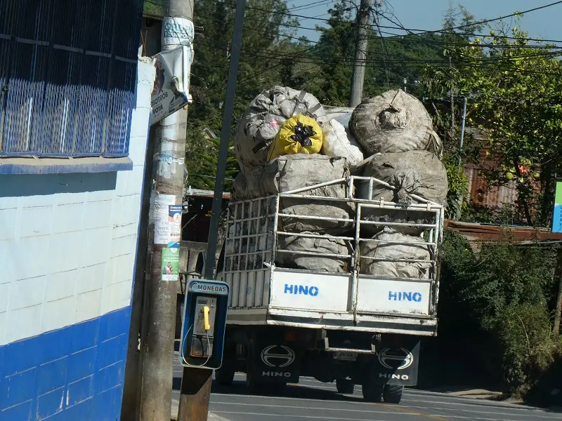 P1000717.JPG