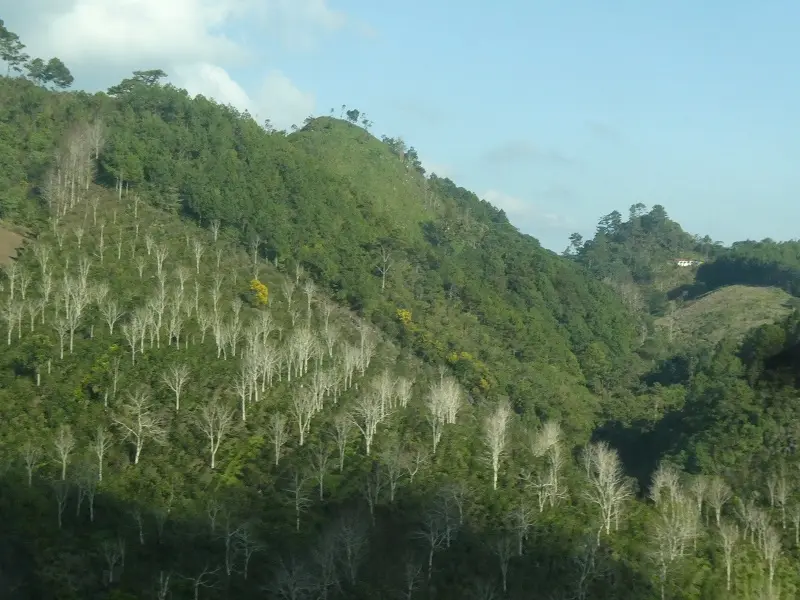 P1000719.JPG