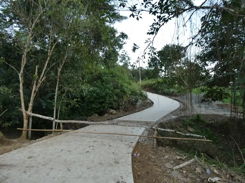 P1000723.JPG