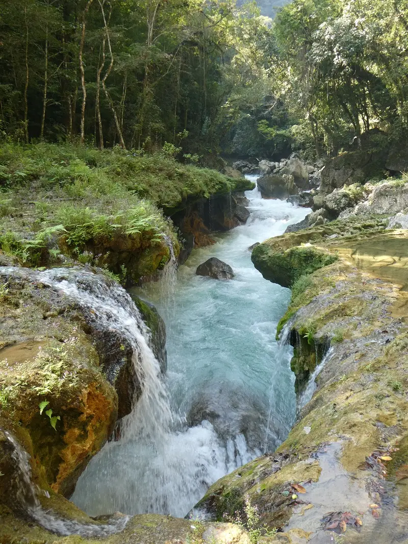 P1000779.JPG
