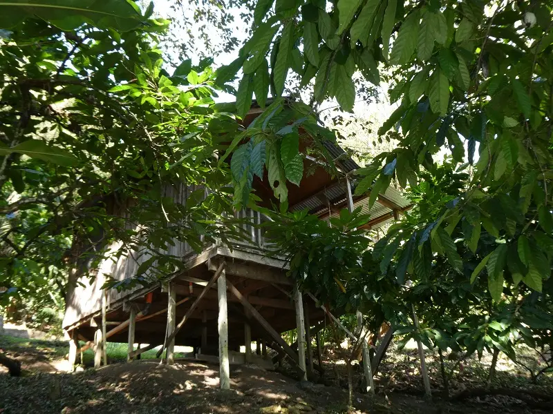 P1000835.JPG