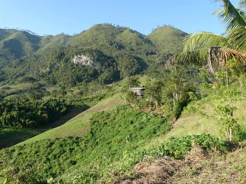 P1000848.JPG