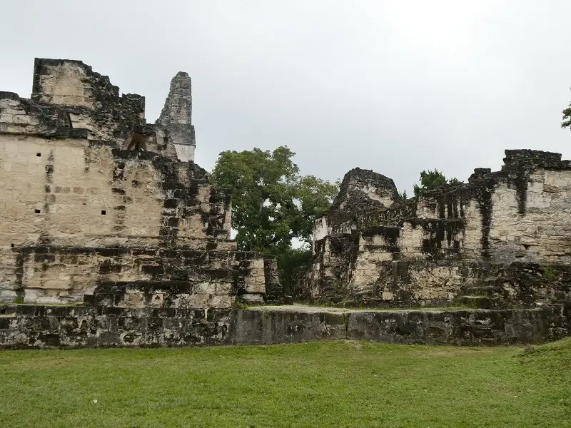 P1001009.JPG