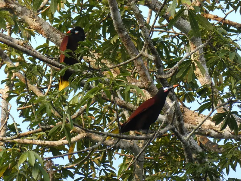 P1001156.JPG