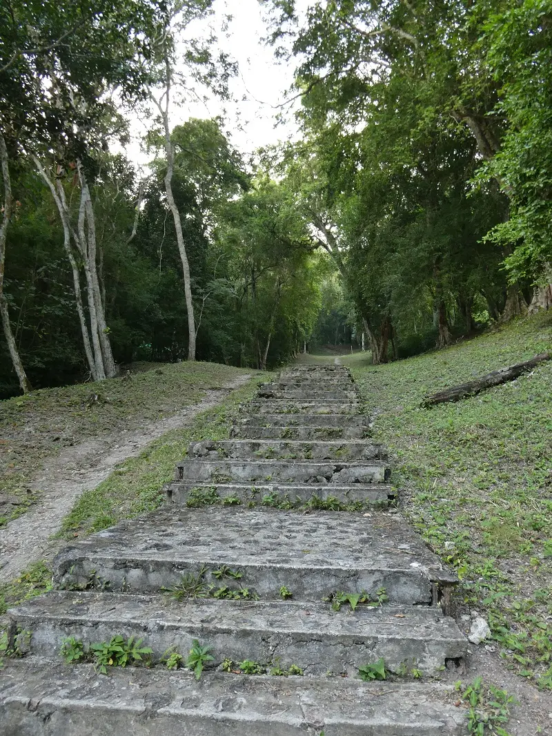 P1001312.JPG