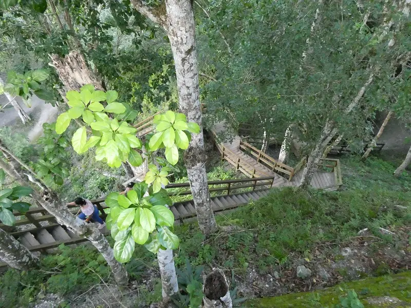 P1001357.JPG