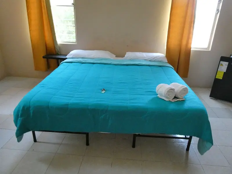 P1001417.JPG