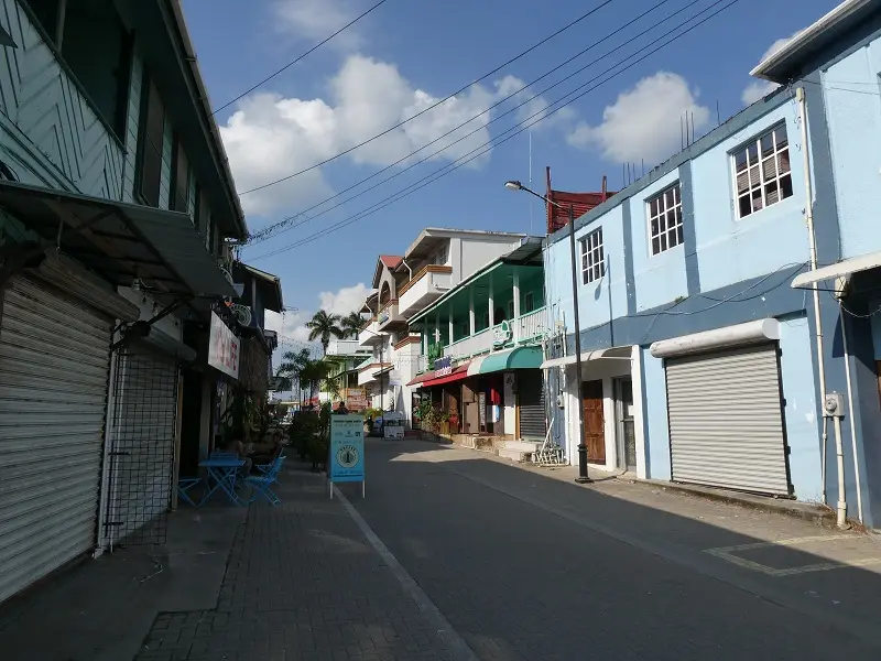 P1001423.JPG
