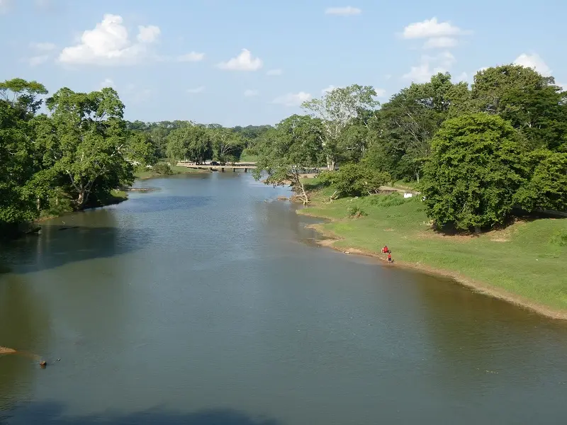 P1001425.JPG