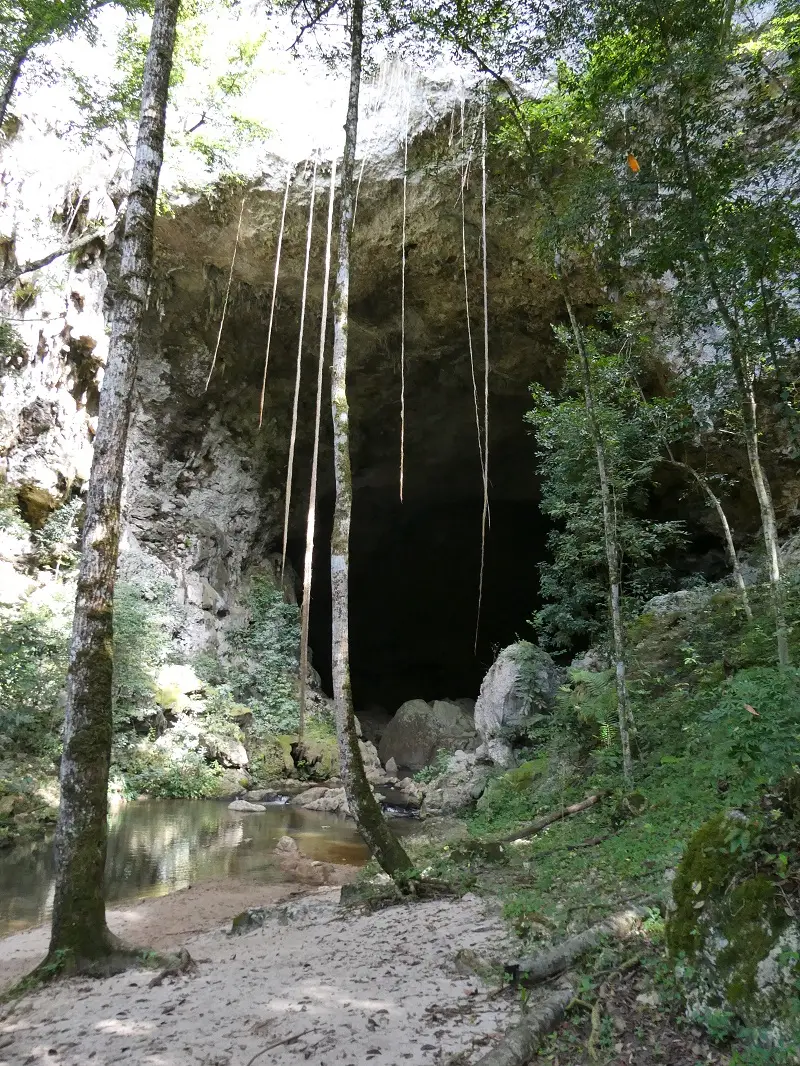 P1001437.JPG