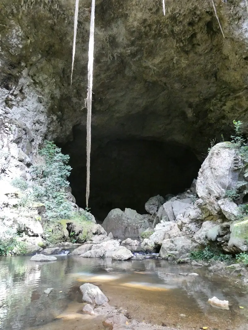 P1001438.JPG