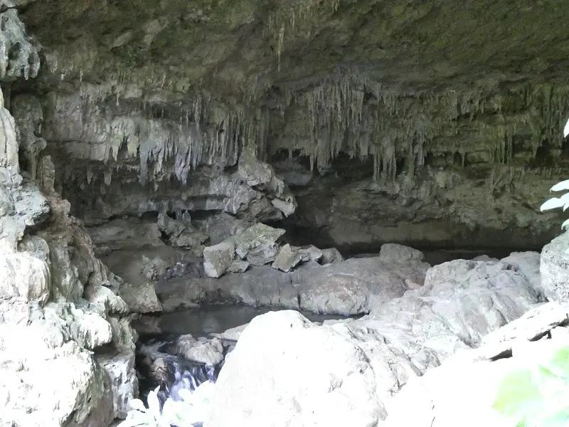 P1001443.JPG