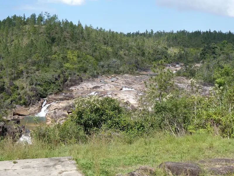 P1011477.JPG