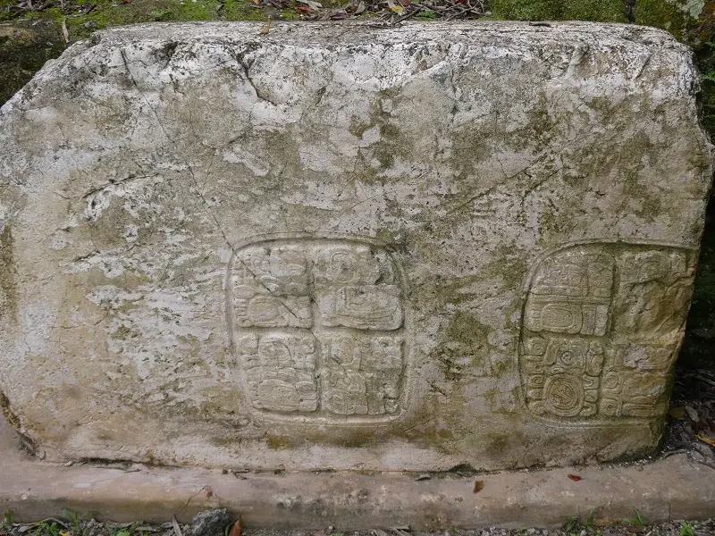 P1011512.JPG